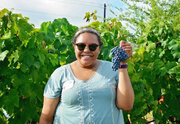 Harvest some Grapes